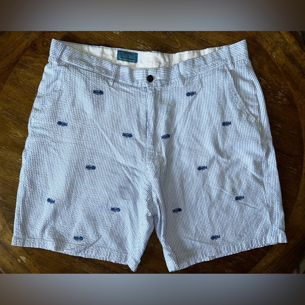 Castaway Fish Bone Pin-Striped Shorts 38